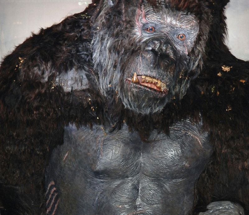Pictures of King Kong