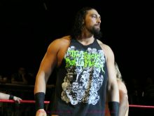 Kip Stevens