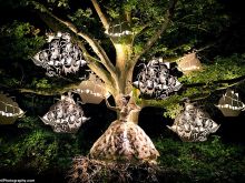 Kirsty Mitchell