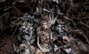 Kirsty Mitchell