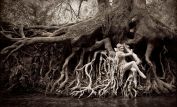 Kirsty Mitchell