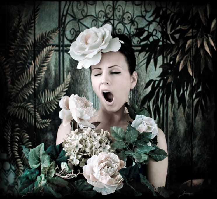 Kirsty Mitchell