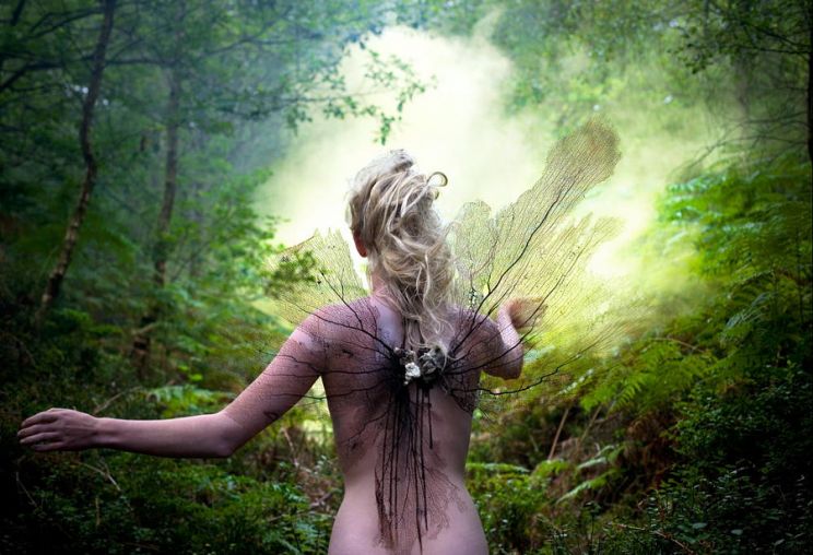 Kirsty Mitchell