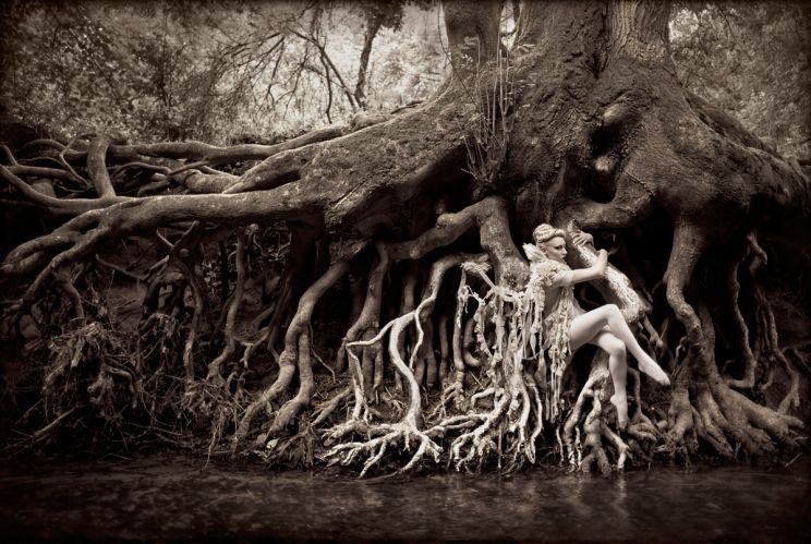 Kirsty Mitchell