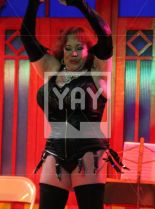 Kitten Natividad