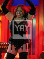 Kitten Natividad photo