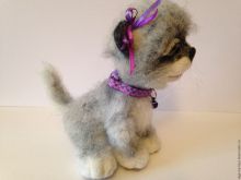 Kitty Jane #2527246 picture (Landscape Medium)