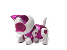 Kitty