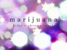 Kitty