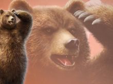 Kuma