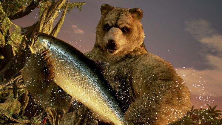 Kuma