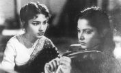 Kumari Naaz