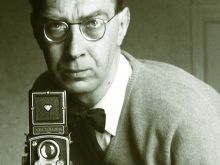 Larkin Love photo