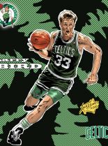 Larry Bird