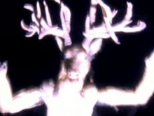 Larry Fessenden