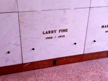 Larry Fine