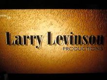 Larry Levinson