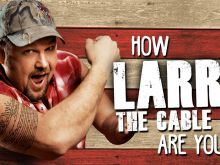 Larry the Cable Guy