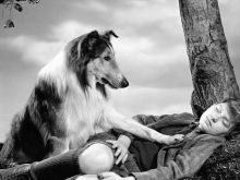 Lassie
