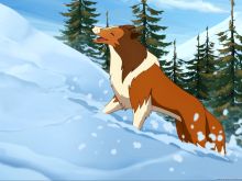 Lassie