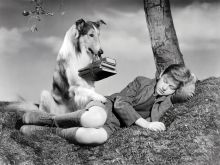 Lassie