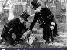Lassie