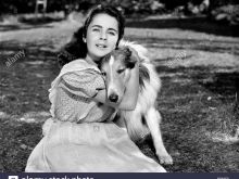 Lassie