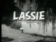 Lassie