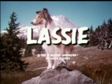 Lassie