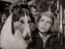 Lassie