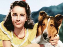 Lassie