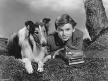 Lassie