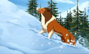 Lassie