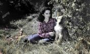 Lassie