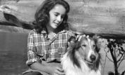 Lassie