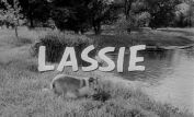 Lassie