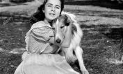 Lassie