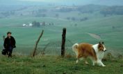 Lassie