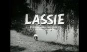Lassie