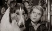 Lassie