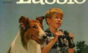 Lassie
