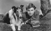Lassie