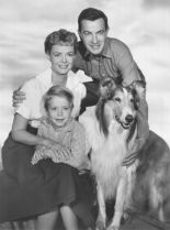 Lassie
