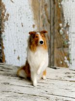 Lassie