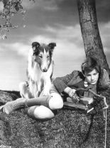 Lassie