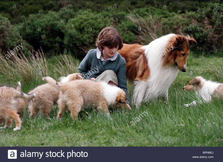 Lassie