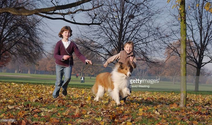 Lassie