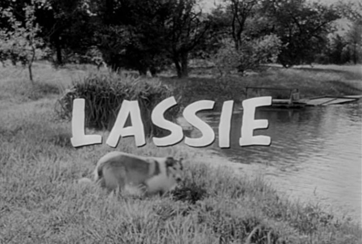 Lassie