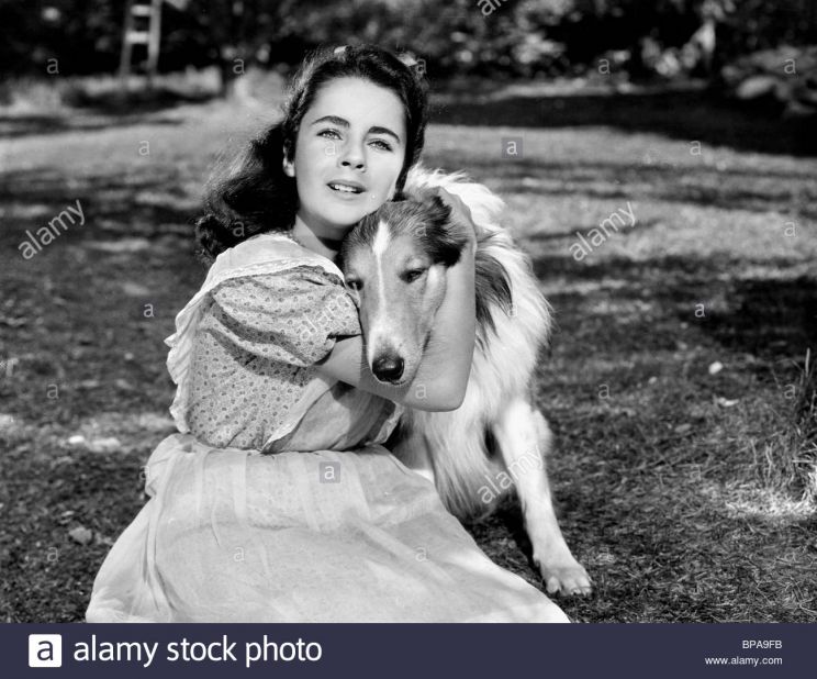 Lassie