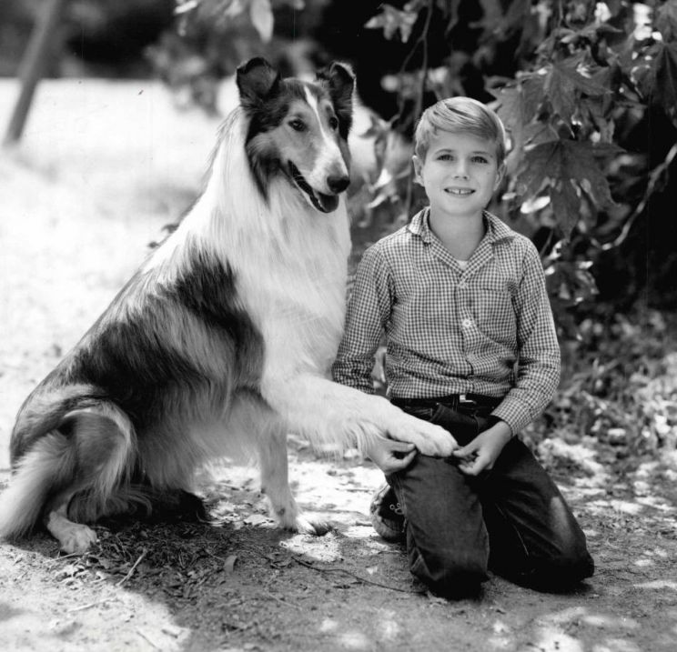 Lassie
